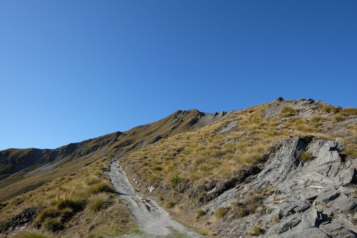 Roys Peak Wanaka Hike