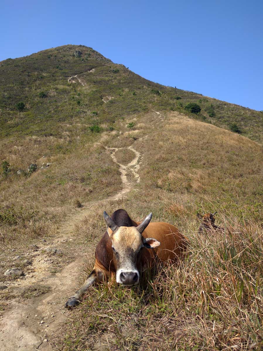 Sunset Peak Hike Sai Kung