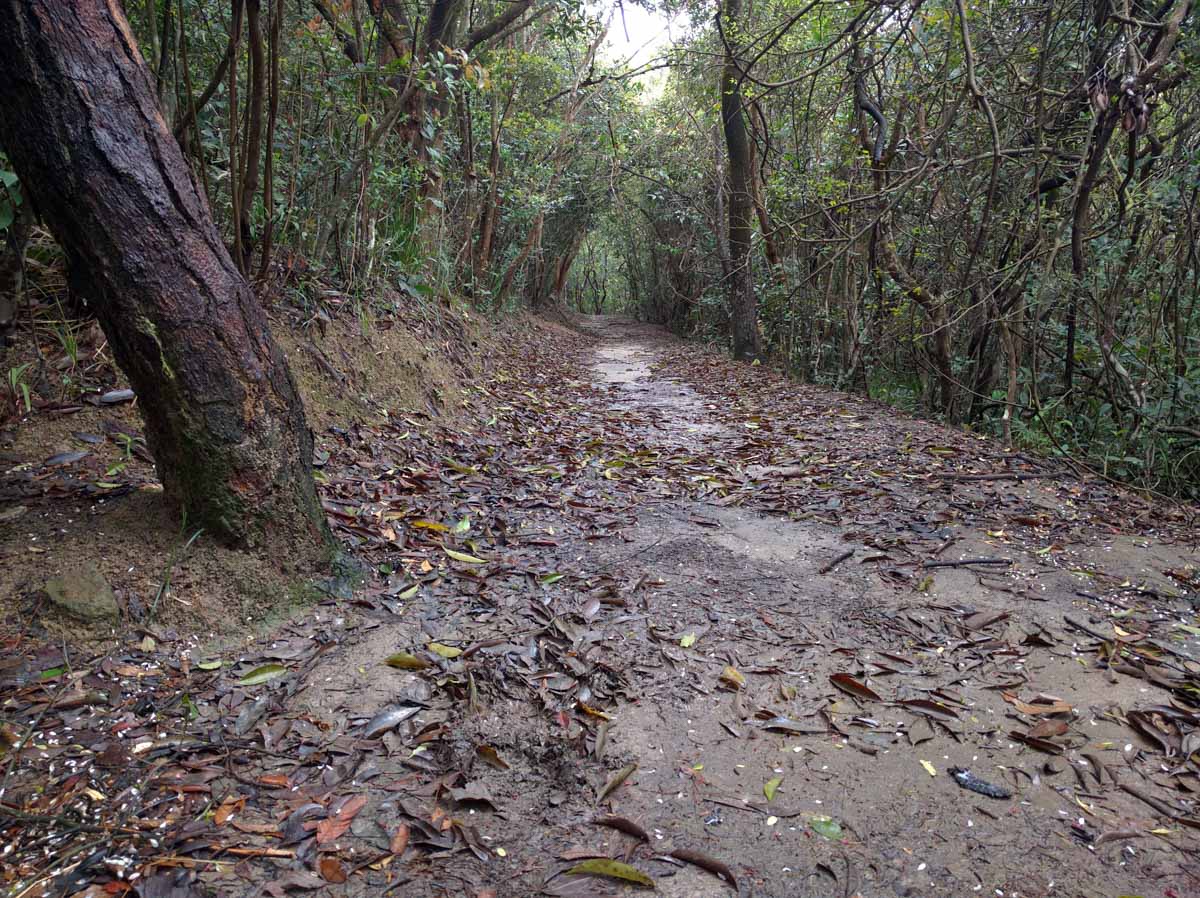 Hong Kong Trail Section 4 - Hike 3
