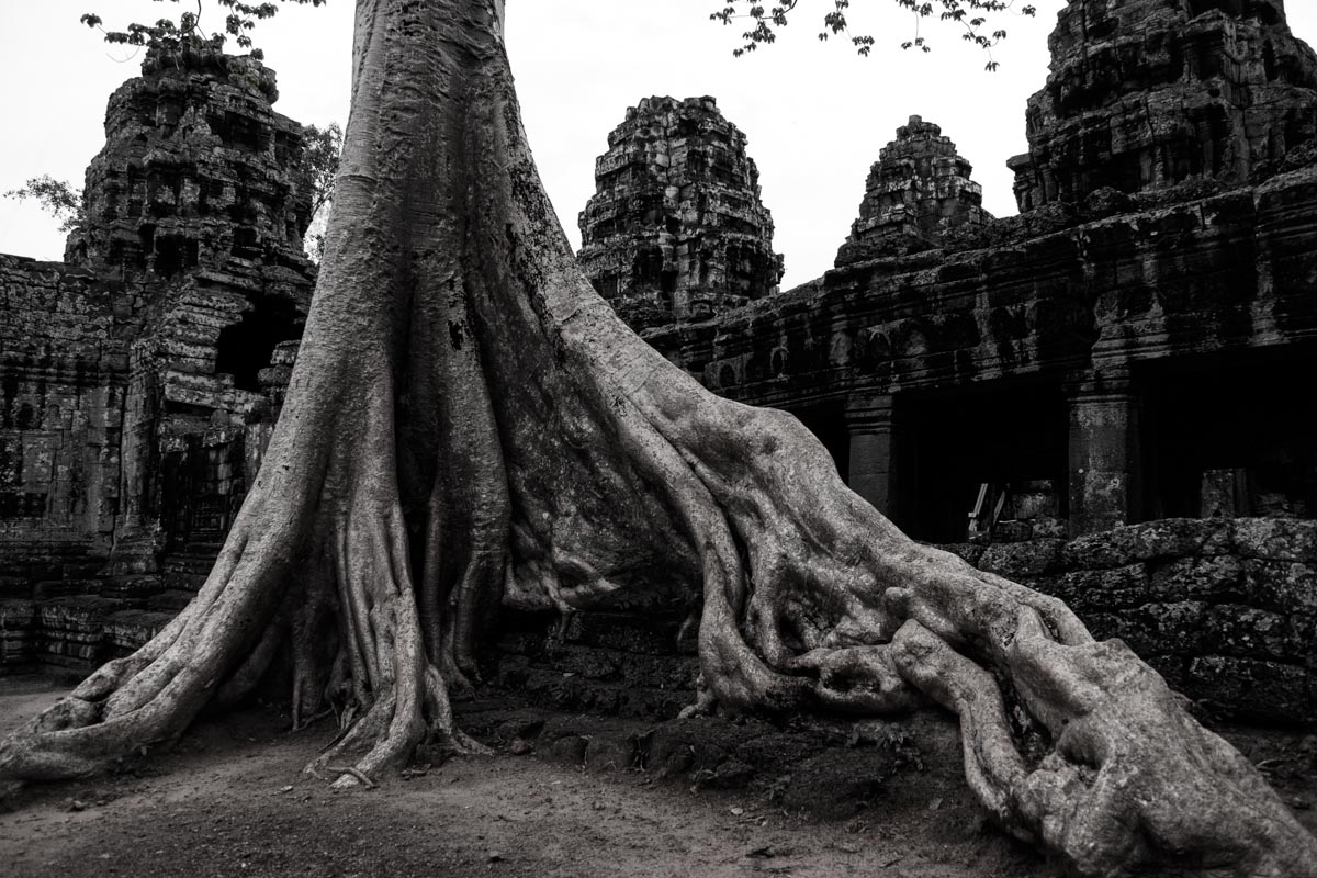 Angkor Wat Photography Tours