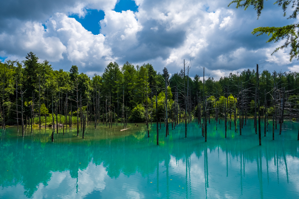 Blue Pond Biei Hokkaido