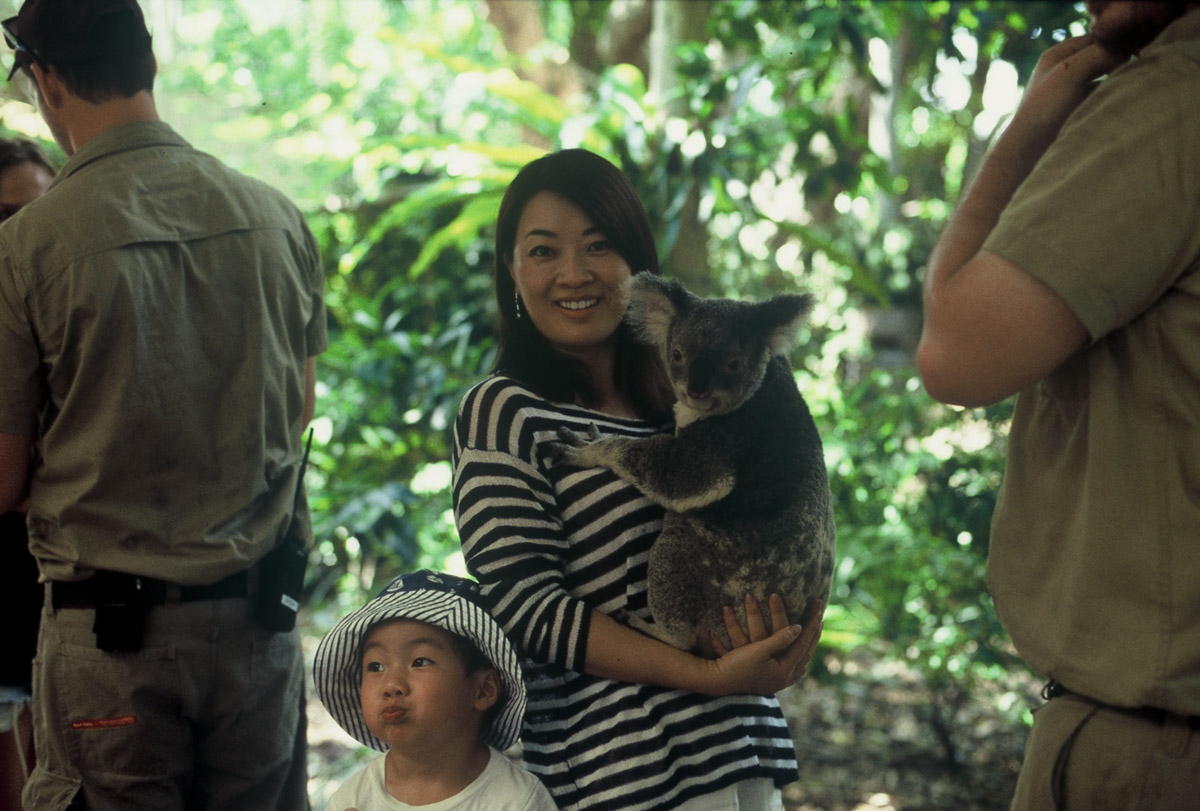 Brisbane with kids - Lone Pine Koala Sanctuary