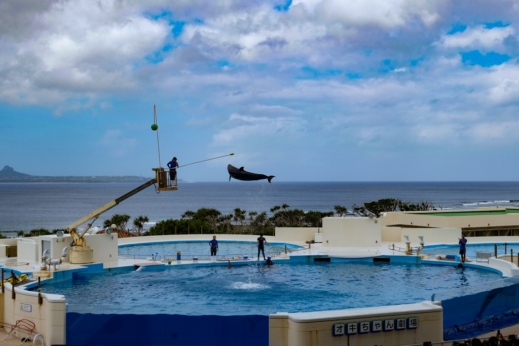 Okinawa Churaumi Aquarium