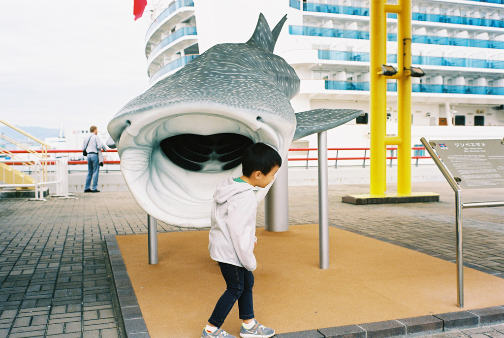 Things to do in Osaka - Osaka Aquarium Kaiyukan