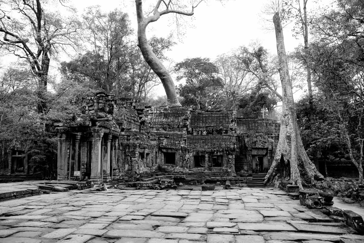 Things to do in siem reap Angkor wat
