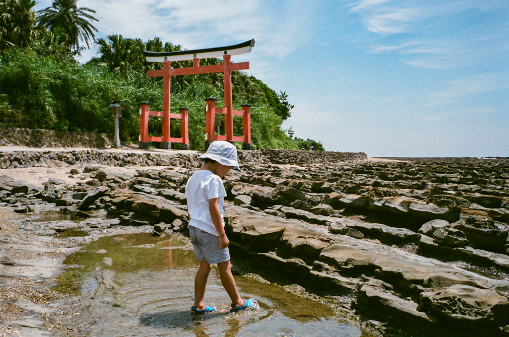 Aoshima with Kids