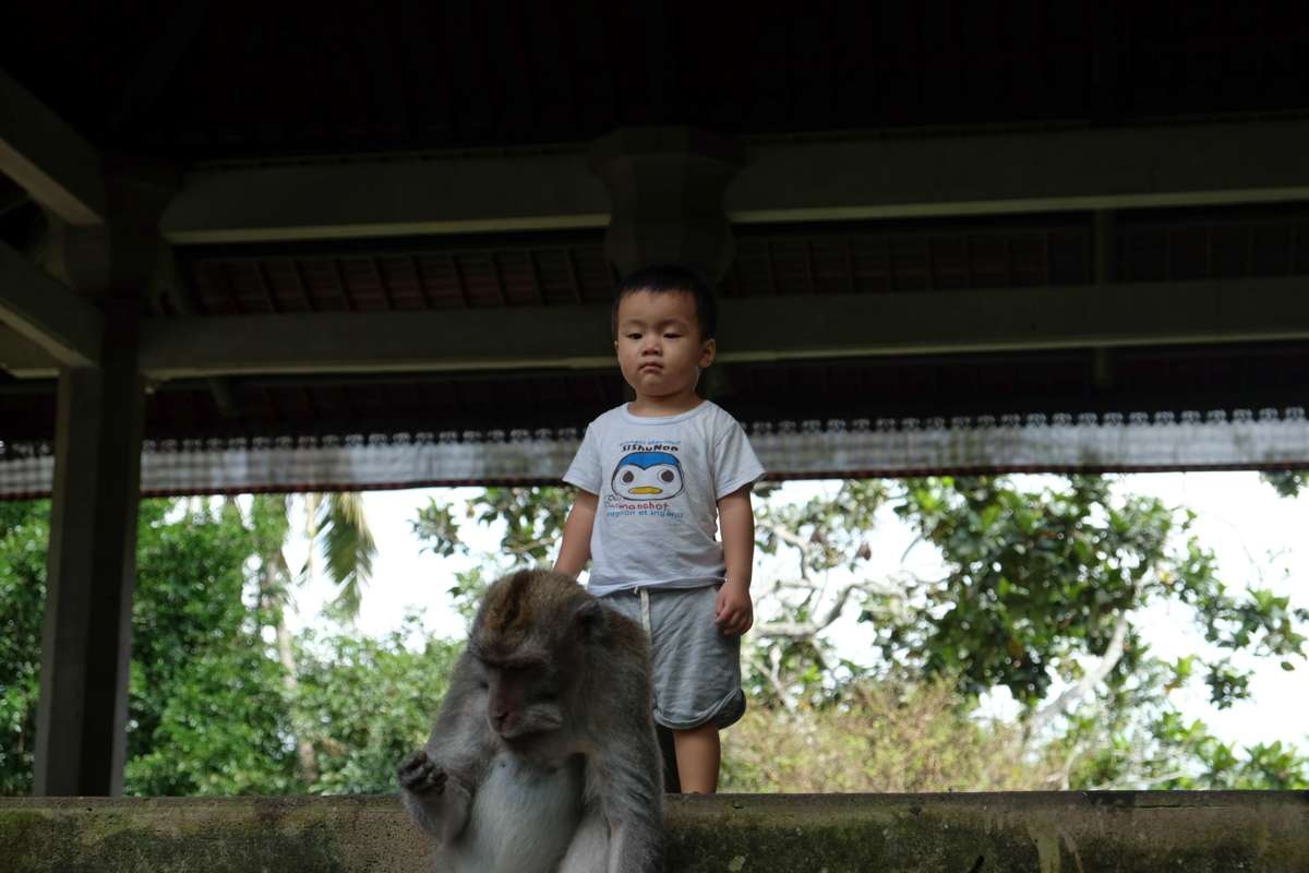 Bali with Kids Ubud Monkey Forest