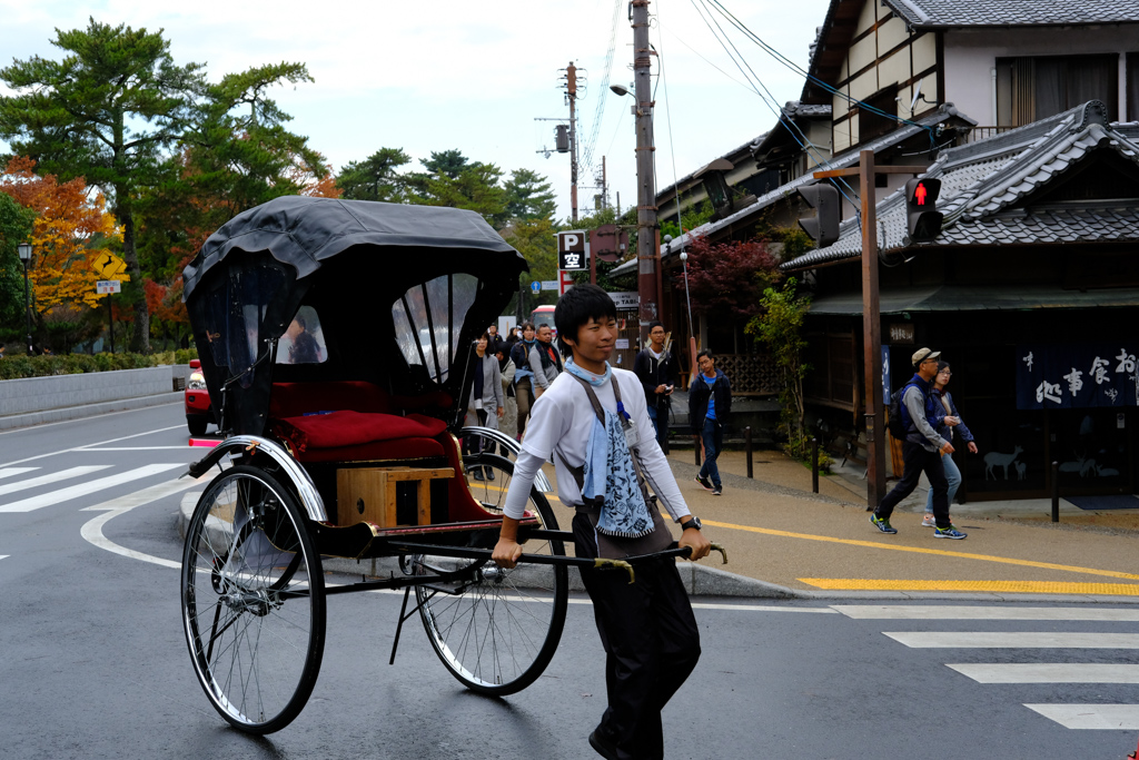 Bike Rickshaw Nara Park