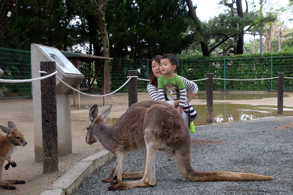 Fukuoka With Kids Uminonakamichi Seaside Park Animals