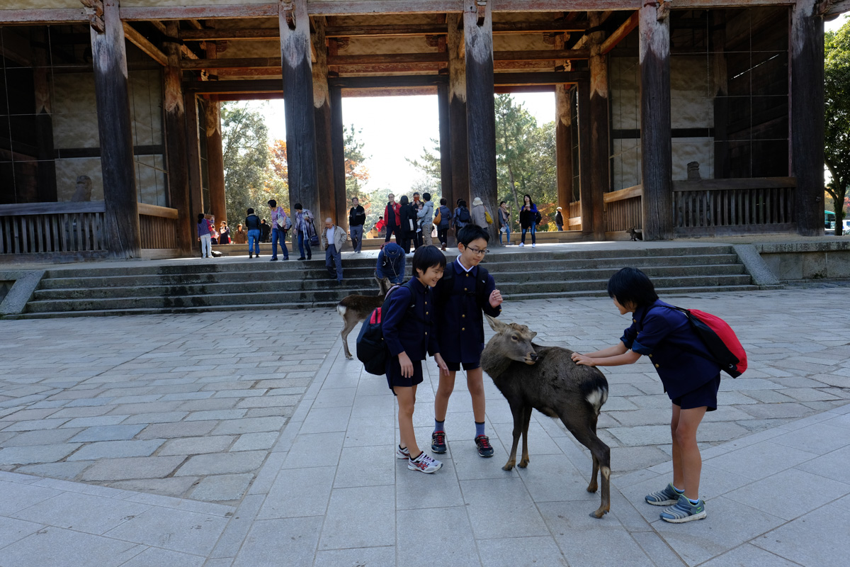 Nara Park