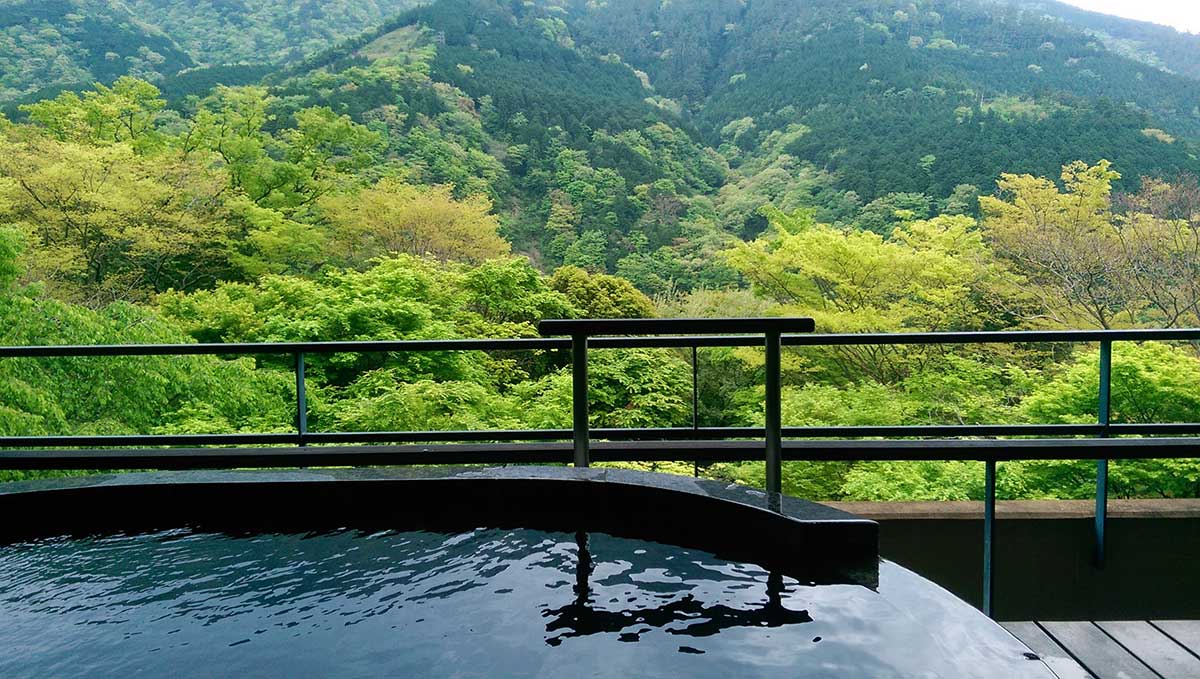 Things to Do in Tokyo - Onsen and Outlet Mall
