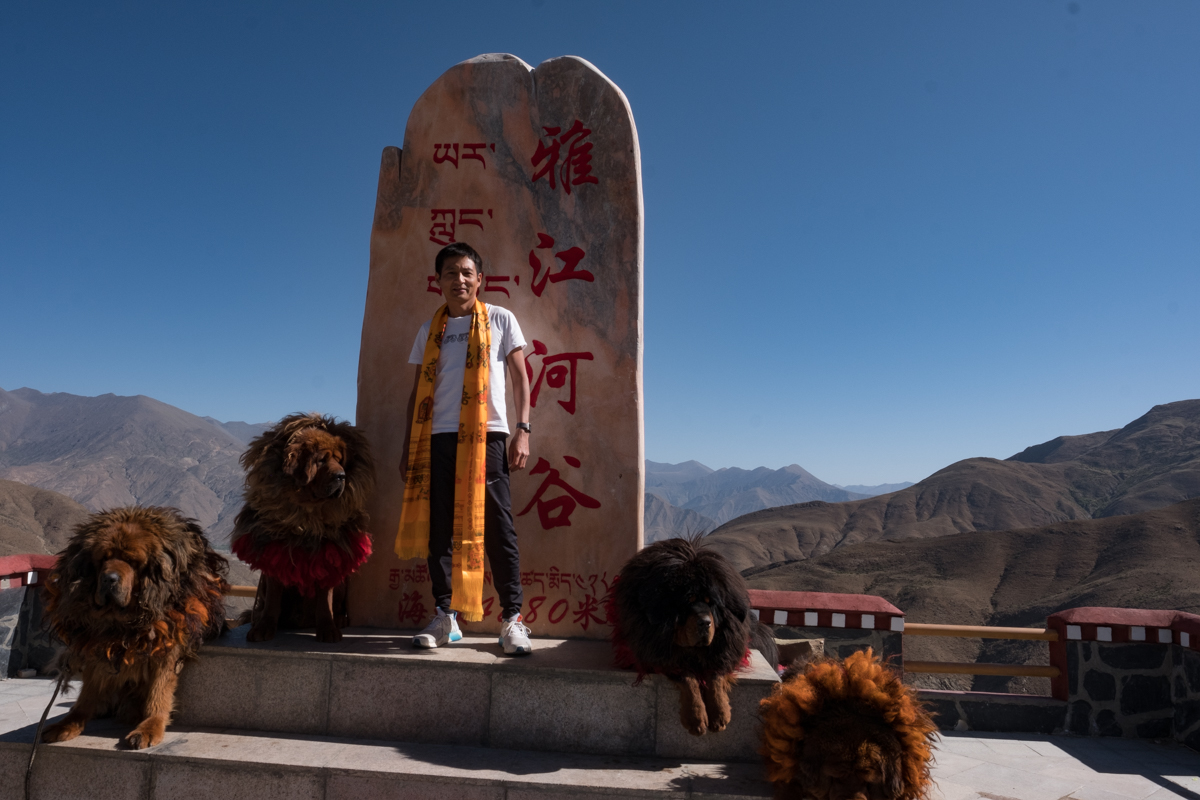 Things to Do in Tibet - Near Yamdrok Lake, Tibet