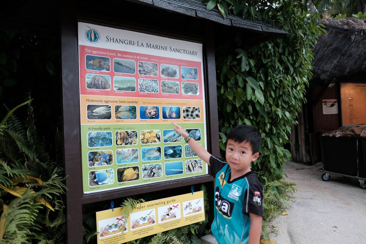 Cebu with Kids - Beach