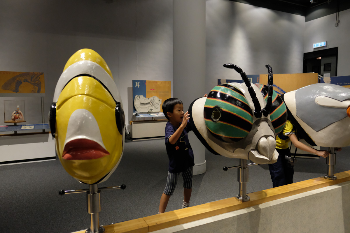 Hong Kong Science Museum for Kids