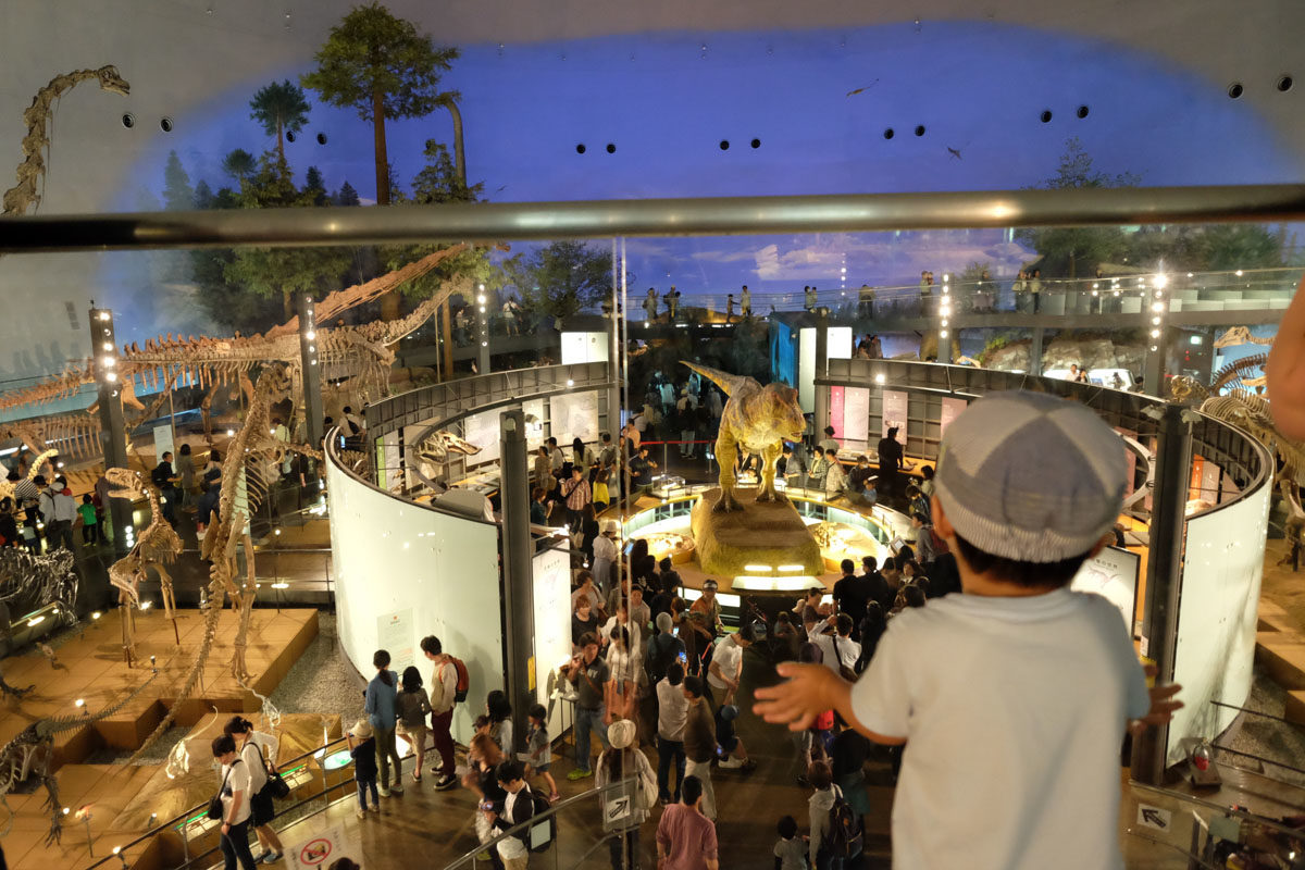 Nagoya With Kids- Fukui Dinosaur Museum