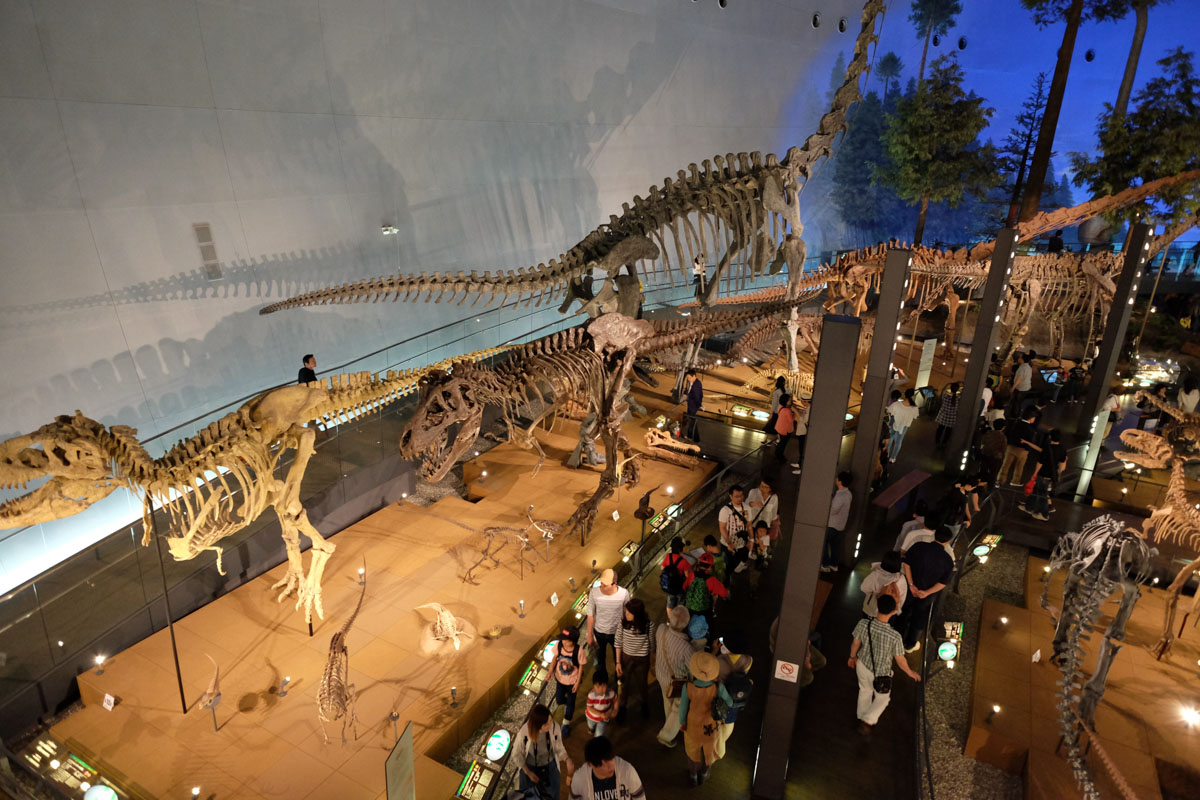 Nagoya With Kids- Fukui Dinosaur Museum