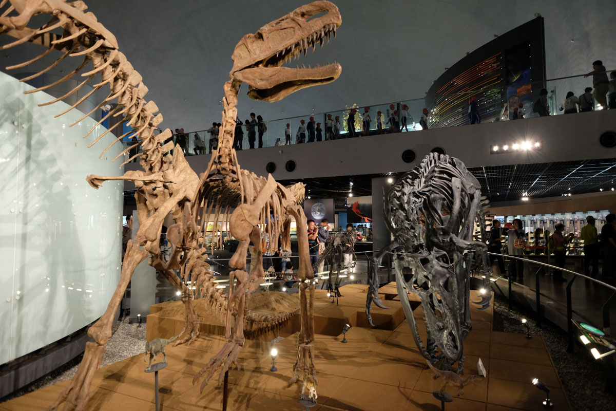 Nagoya With Kids - Fukui Dinosaur Museum 
