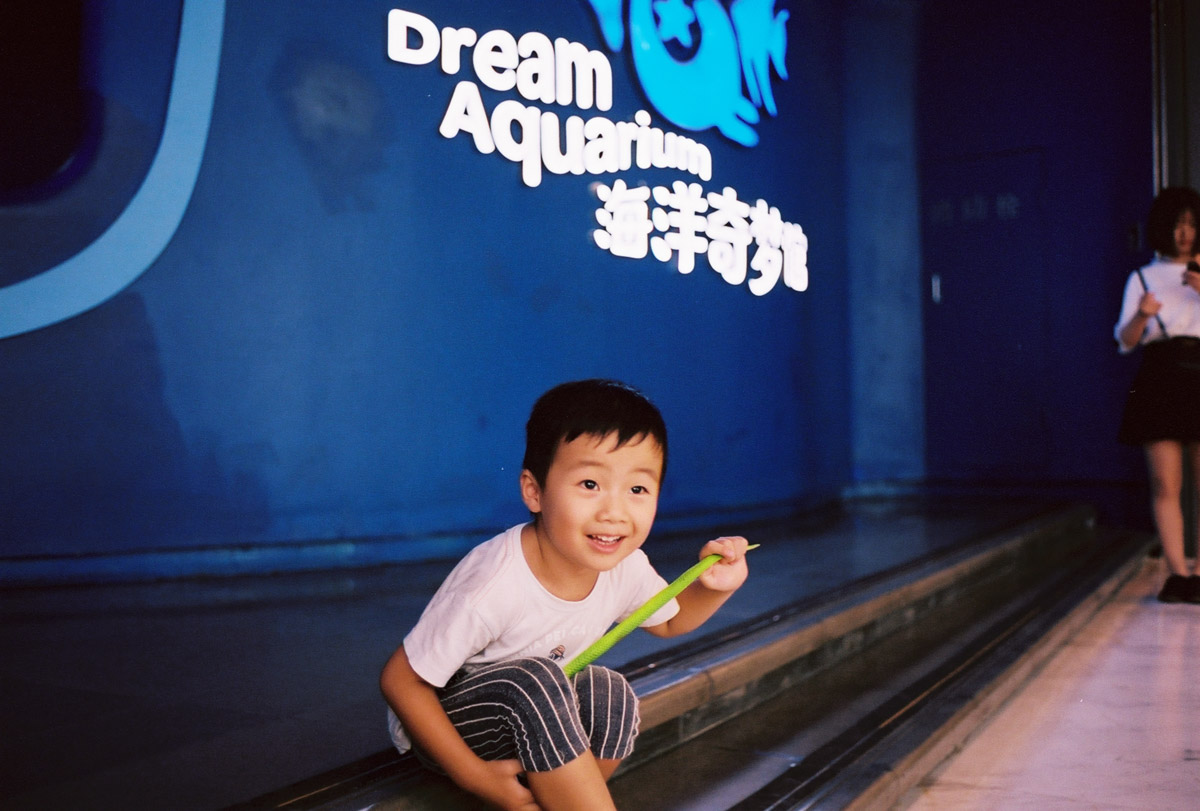 Shenzhen With Kids - Dream Aquarium