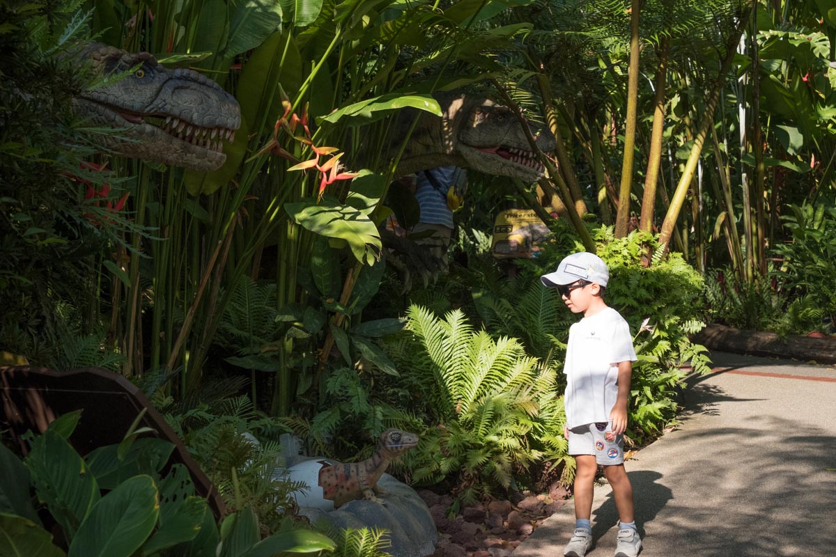 Singapore With Kids - Singapore Zoo 2