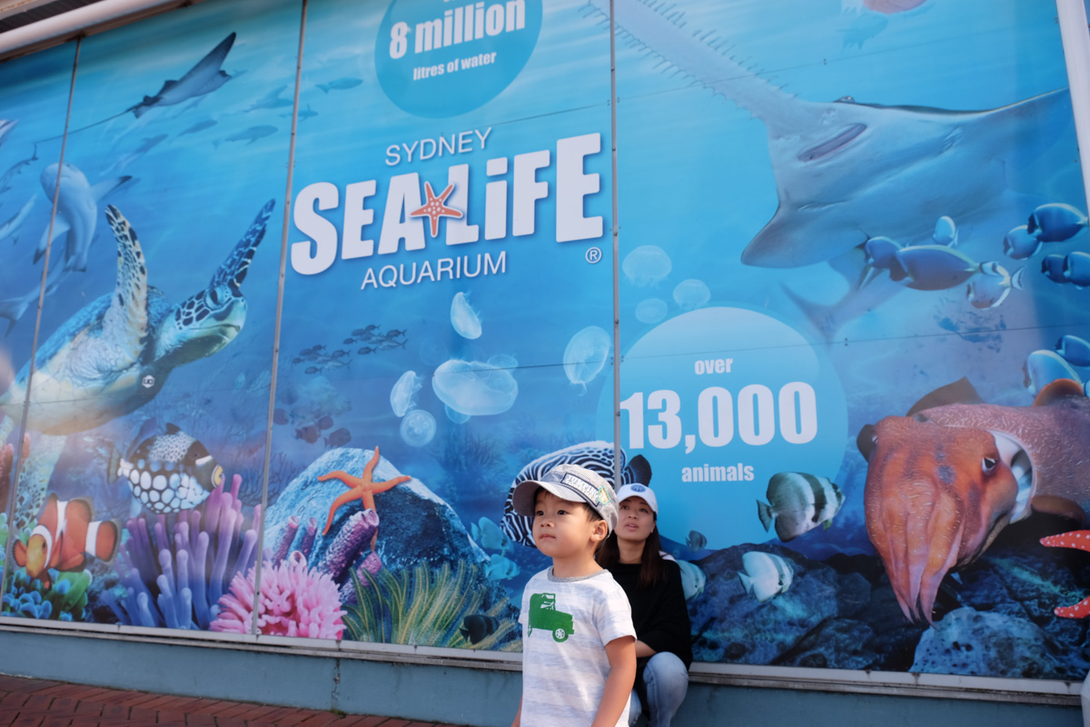 Sydney with Kids - Sealife Aquarium Sydney