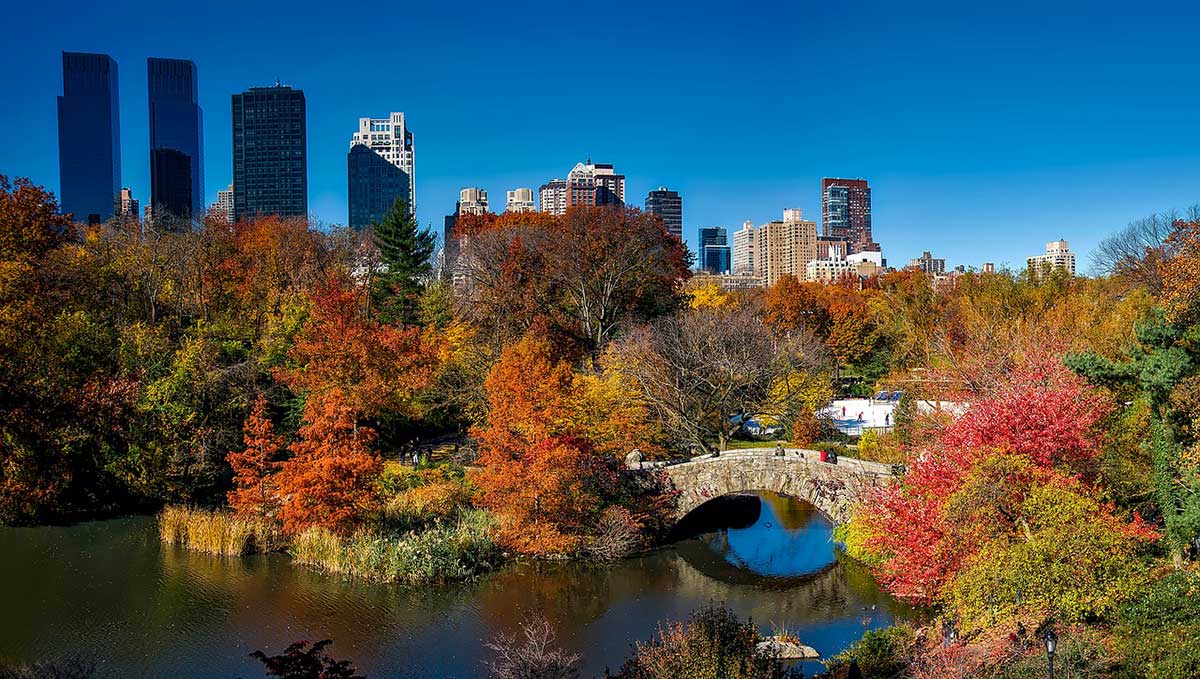 Things To Do in New York - Central Park