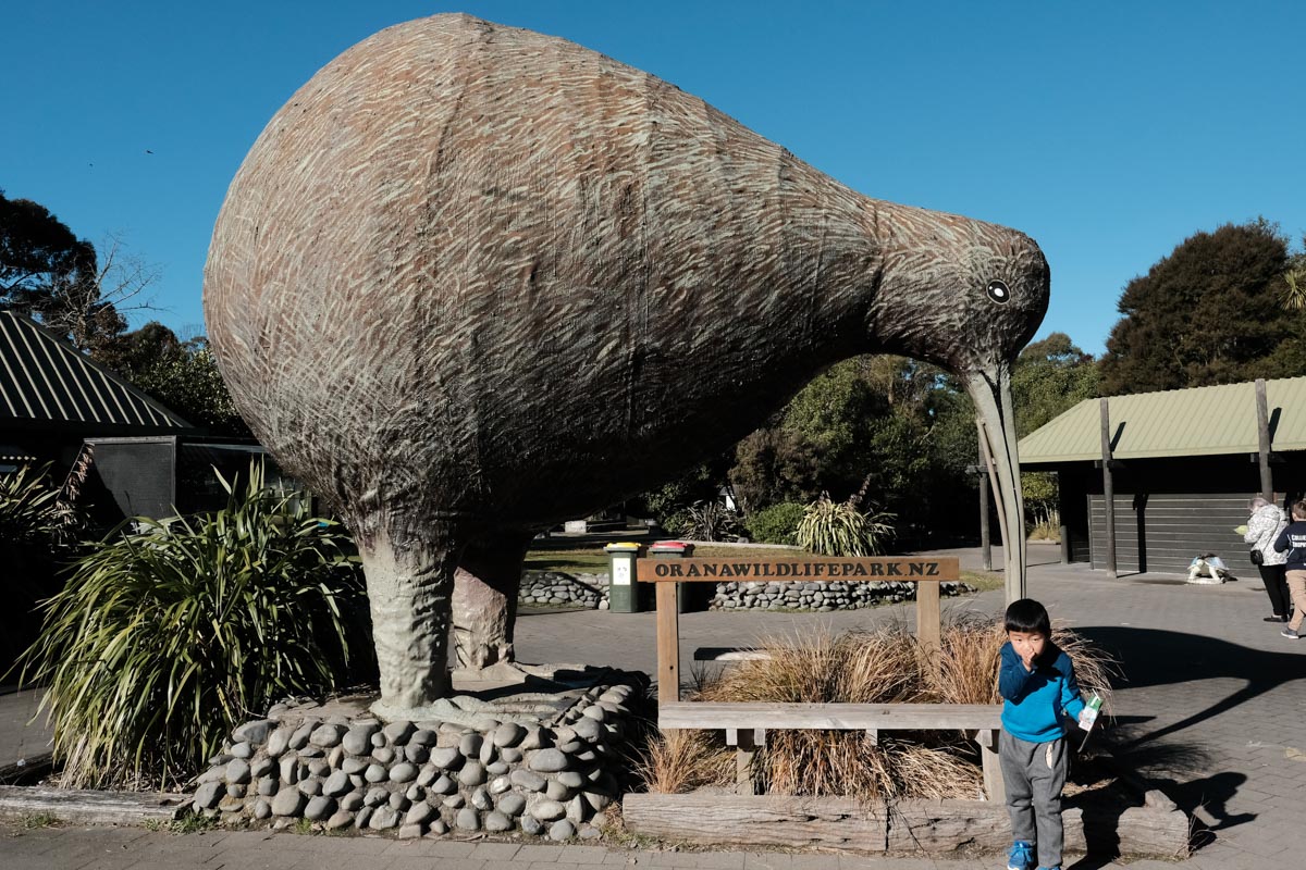 things to do in christchurch - orana park