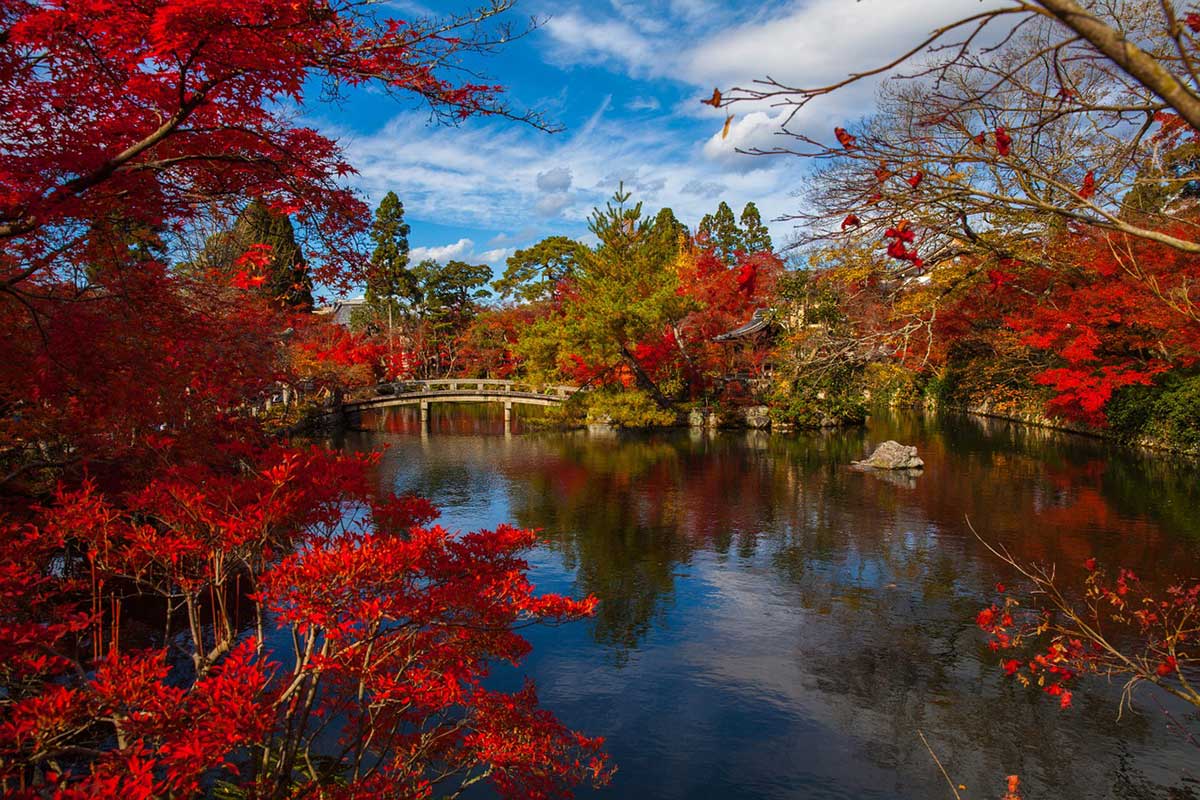 things to do in kyoto - Ginkakuji