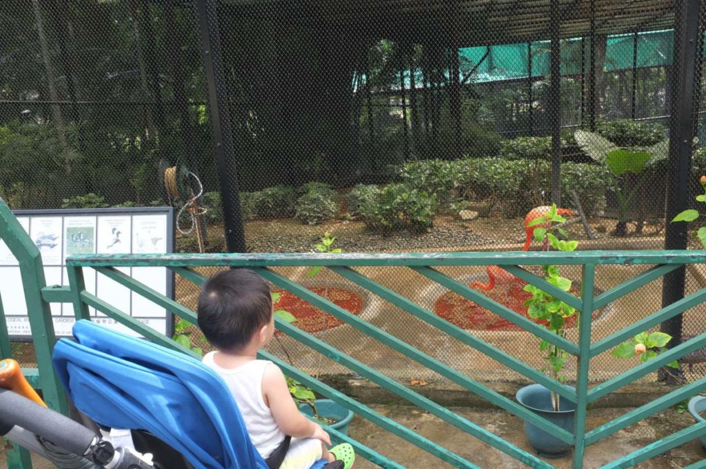 Hong Kong Zoo | Zoological and Botanical Gardens Hong Kong