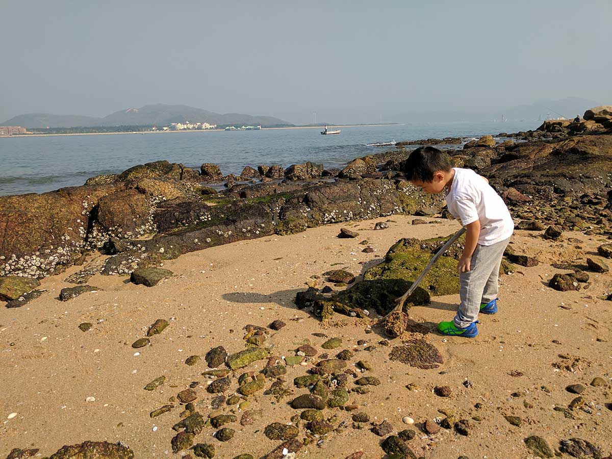 Peng Chau Crab Hunting