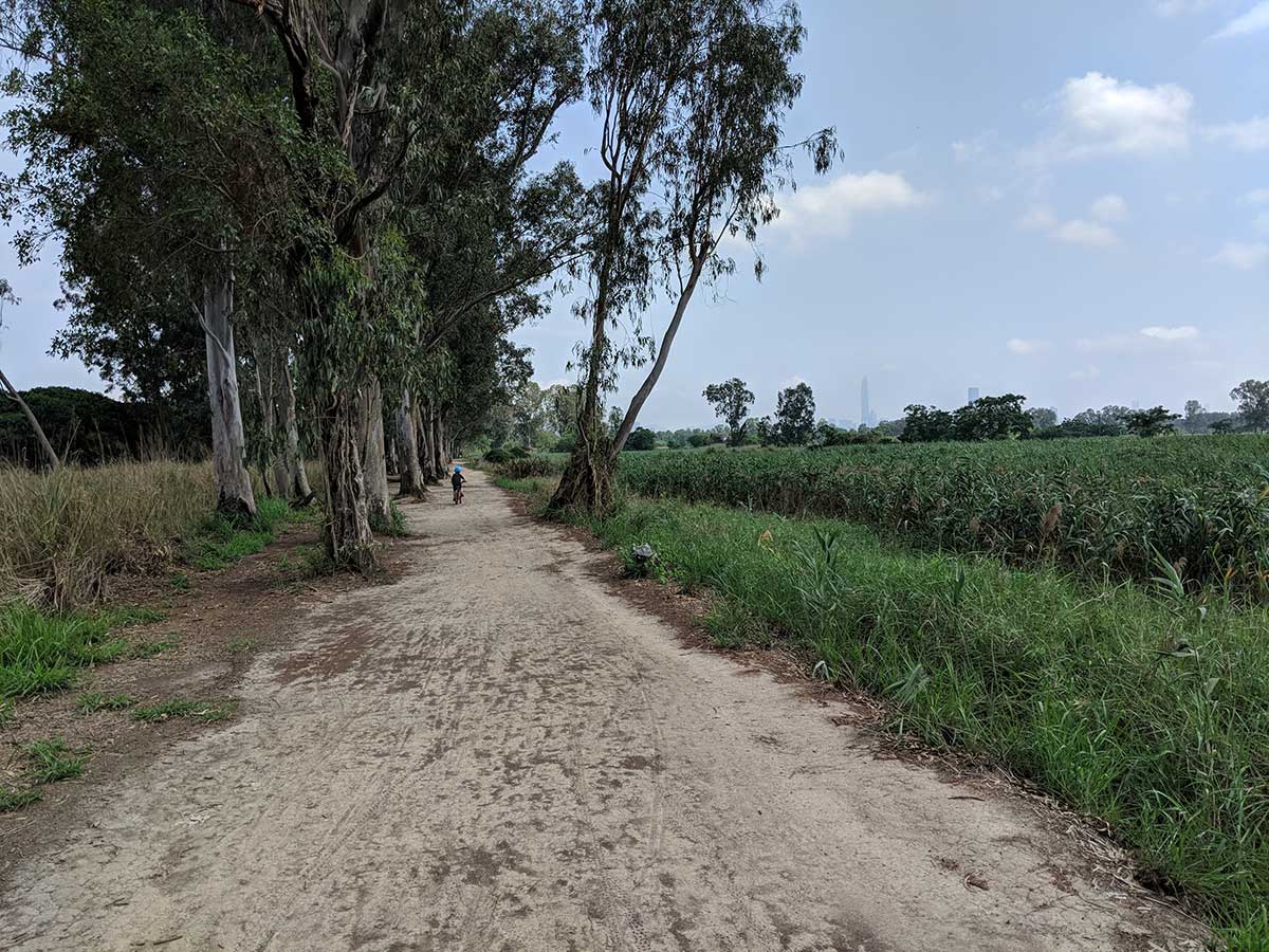 Nam Sang Wai - Cycling Track