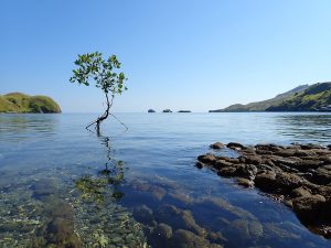 Island Hopping Indonesia